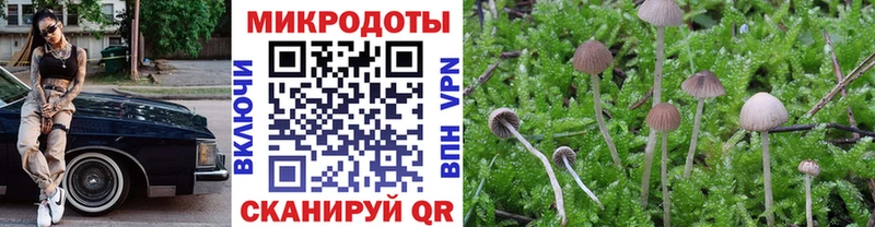 Галлюциногенные грибы Cubensis  Красный Холм 